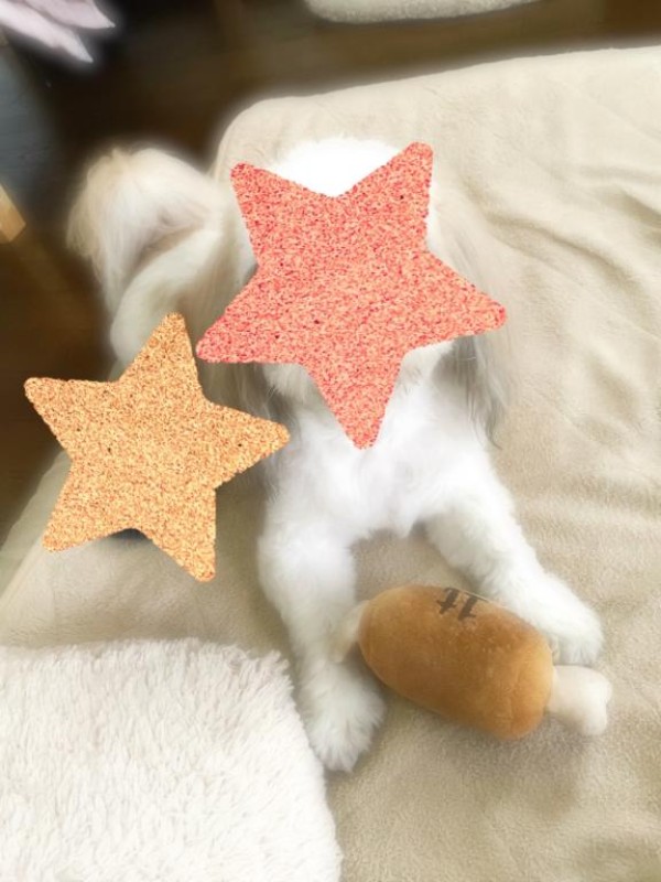 金瓶梅 えま えまー