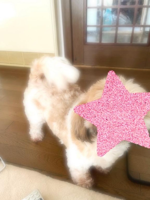 金瓶梅 えま えまー