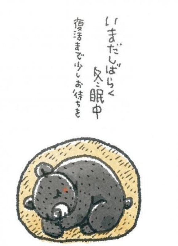 ジャックと豆の木 圭（けい）☆最高級のおもてなし 今日は.......