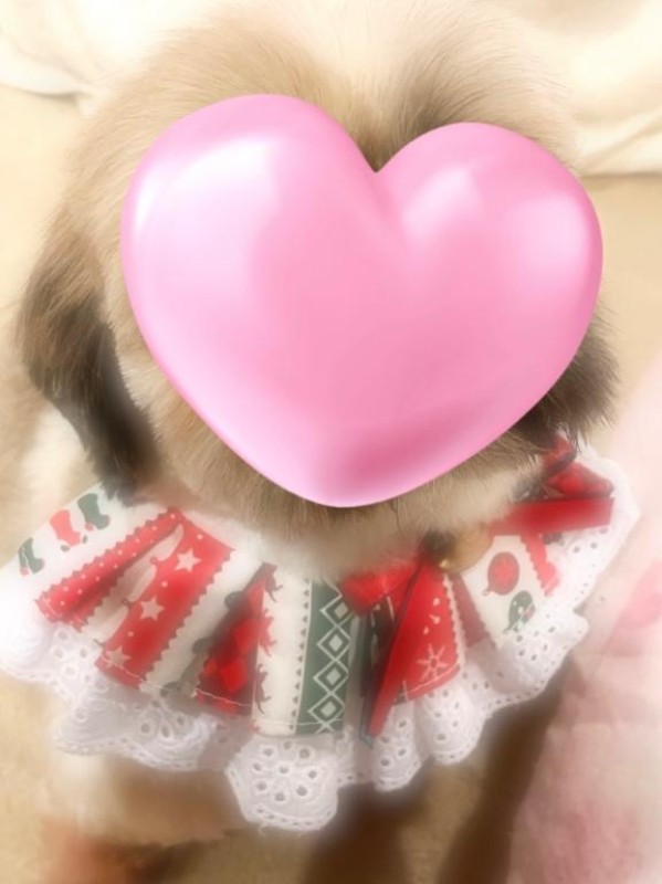 金瓶梅 えま えまー