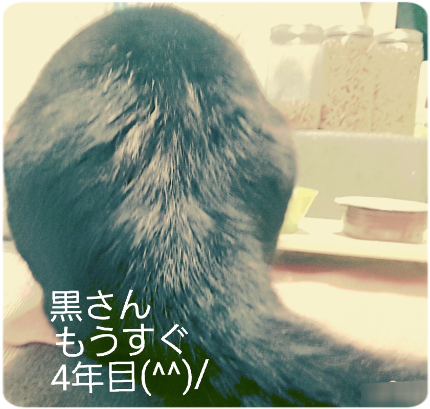 一ノ瀬　なななんてゆーの？