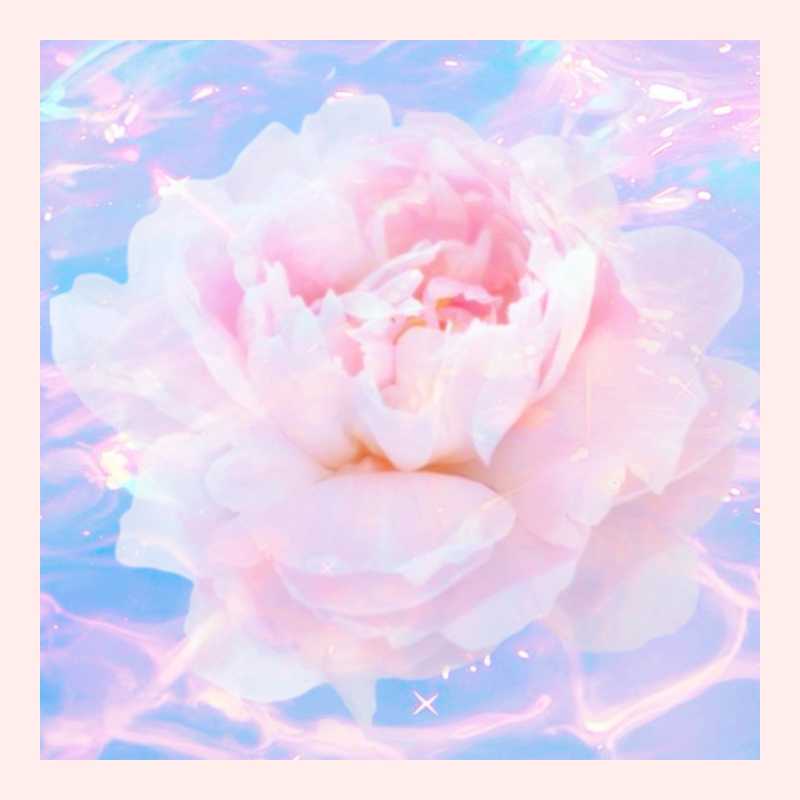 秀川 雅💎💎💎